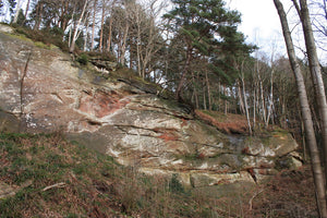 Coombs Wood & Armathwaite Crag
