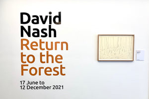 David Nash Return to the Forest, Grizedale